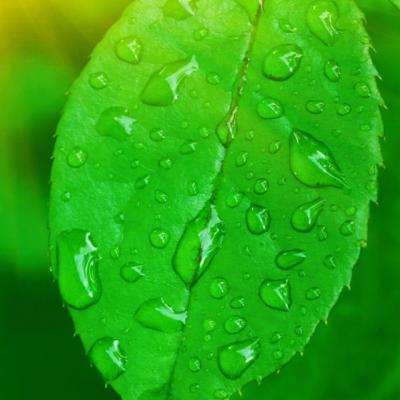 澳门新葡萄新京8883手机app下载截图